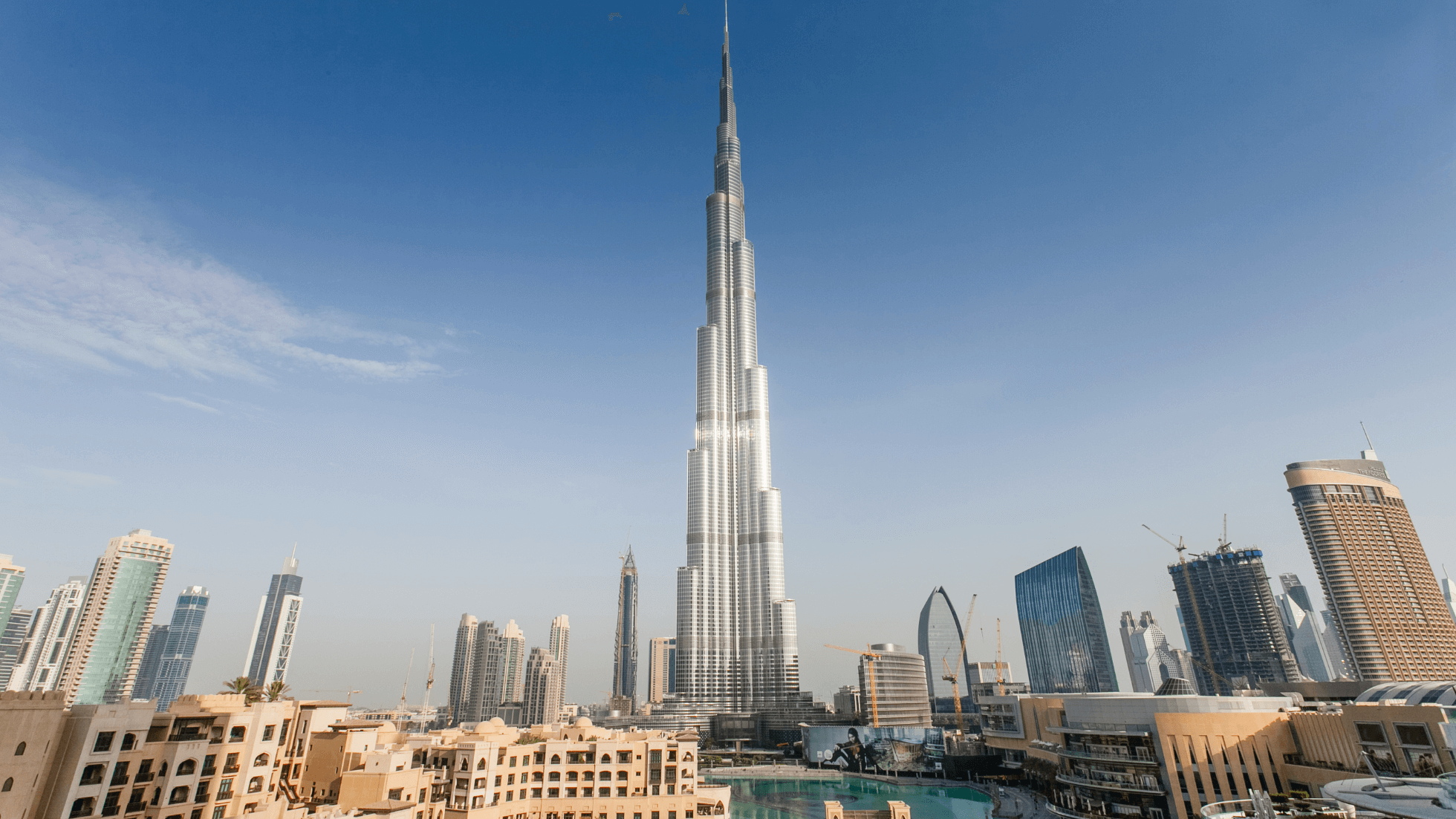 Company Structures for Setting Up a Business in Dubai
