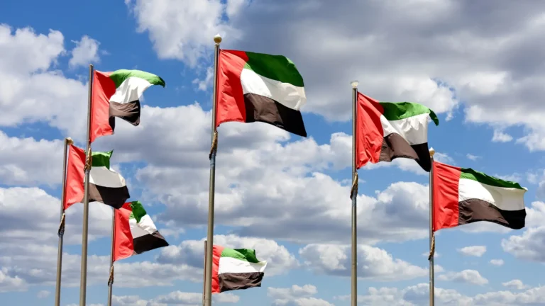 UAE Officially Joins BRICS - Smart Zones® UAE - Business Setup in Dubai